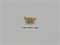 藏品(螟蛾139)的圖片